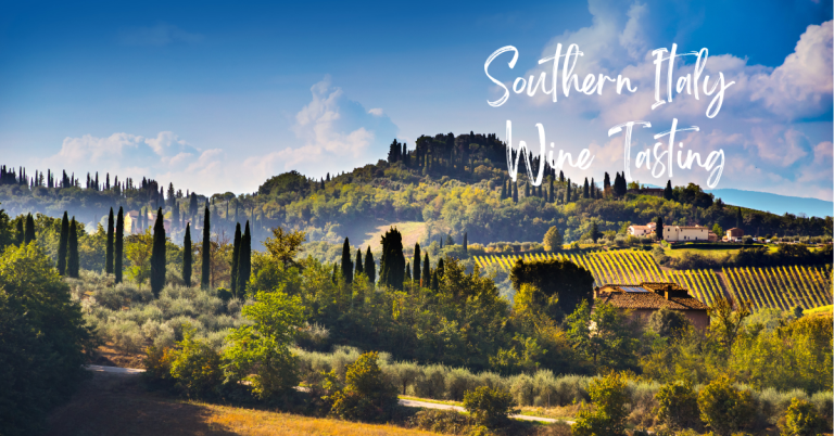 Southern Italy wine tasting