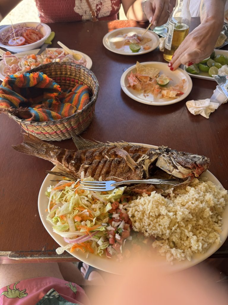 Mazatlán city highlights